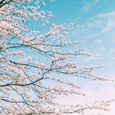 博鱼(boyu)·体育